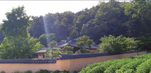 만회고택 검색결과 만회고택
