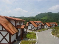 보성녹차리조트 검색결과 보성녹차리조트