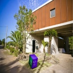 컬러인제주 검색결과 컬러인제주