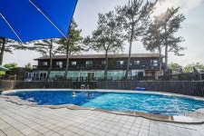 솔베이지 펜션 검색결과 솔베이지 펜션