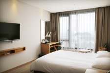 제주호텔더엠 검색결과 제주호텔더엠