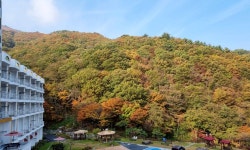 준성리조트 검색결과 준성리조트