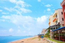 늘푸른하우스 검색결과 늘푸른하우스