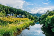 로즈데일펜션 검색결과 로즈데일펜션