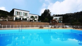 에코랜드펜션 검색결과 에코랜드펜션