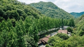 장태산 루체 펜션 검색결과 장태산 루체 펜션