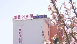 해돋이호텔 검색결과 해돋이호텔