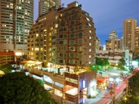 골든 튜립 맨디슨 스위트 검색결과 골든 튜립 맨디슨 스위트