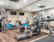 컴포트 인 앤 스위트 검색결과 컴포트 인 앤 스위트