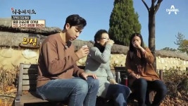 채널A 봄, 가을에만 일해서 2억을 버는 농부가 있다? 영월의 고랭지배추!