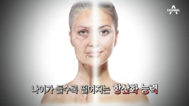 채널A 산야초로 신체 항산화 능력을 높여라~