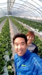 오케이딸기농장 | 피드 오케이딸기농장