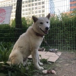 온유솝 | 스토리  온유솝