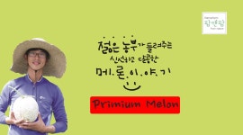 팜앤팜농장 박태우 | 판매중인 작품 팜앤팜농장 박태우