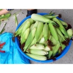 개터두레농장 | 스토리  개터두레농장