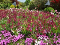 임마누엘문구 자판기 | 임마누엘 | 스토리 임마누엘