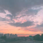 토리 | 구매후기 토리