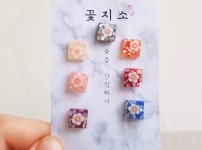 꽃지소 | 스토리  꽃지소