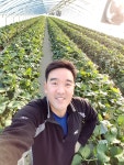 오케이딸기농장 | 스토리  오케이딸기농장