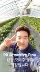 오케이딸기농장 | 피드 오케이딸기농장