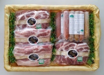 초은농장 | 스토리  초은농장