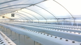 오케이딸기농장 | 작가 피드