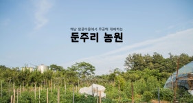 둔주리농원(김경상) | 구매후기 둔주리농원(김경상)