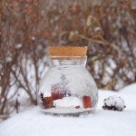 [선물추천👍]꿈냥이 무드등 시리즈❄ | 아이디어스 [선물추천👍]꿈냥이 무드등 시리즈❄