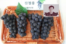 다원포도농장 | 작가 피드 다원포도농장
