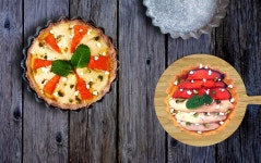 펫츄(petchoo) | 구매후기 펫츄(petchoo)