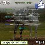 제주이산 전문위원게시판::코리아레이스 경마