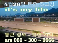 토요조교장 its my life::코리아레이스 경마