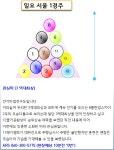 코리아레이스 경마 - 실시간 경마 종합 정보 코리아레이스 경마