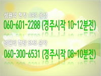 성원 전문위원 게시판::코리아레이스 경마
