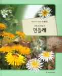민들레(갓털 모자를 쓴)(올빼미 자연관찰 19)(양장본 HardCover) - 교보문고 민들레 - 교보문고