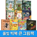 풀빛 빅북 큰 그림책 10권 세트(전10권.양장)/꿀벌.나무.정글.버섯과균.알.바다.신화와미로.세계지도.세계 | 얀 바이틀릭, 크리스토퍼 코어... 