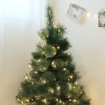 크리스마스 솔나무트리 - NEW ME HOTTRACKS 크리스마스 솔나무트리