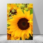 cx626-자유롭게헤엄치는돌고래_대형노프레임세트 - NEW ME HOTTRACKS cx626-자유롭게헤엄치는돌고래_대형노프레임세트