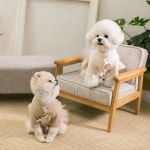 Stirring Sweat Shirt Gray-L - NEW ME HOTTRACKS Stirring Sweat Shirt Gray-L