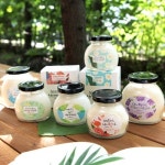 그레이스벨 아로마캔들 (소) - NEW ME HOTTRACKS 그레이스벨 아로마캔들 (소)