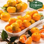청정 목초 한우 혼합 4호세트 채끝 추석선물 - NEW ME HOTTRACKS 청정 목초 한우 혼합 4호세트 채끝 추석선물