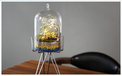 책상위 작은 숲,테라리움 - NEW ME HOTTRACKS 책상위 작은 숲,테라리움