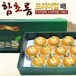 롯데백화점 공식 온라인몰