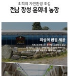 전남 장성 새싹삼 60뿌리 (소) - 사는 게 즐겁다! 롯데닷컴