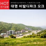 비발디파크 대명리조트 룸온리 패키지 ~7/18 - 사는 게 즐겁다! 롯데닷컴