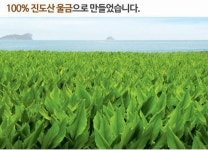 진도농협 진도울금분말(고급용기) 300g(300g 1개) - 사는 게 즐겁다! 롯데닷컴