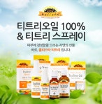 홀리스타카페리옹 | 홀리스타 티트리 오일 100% 원액 50ml - 사는 게 즐겁다! 롯데닷컴