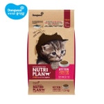 애견&애묘의 스페셜데이 맛있다냥~ - 사는 게 즐겁다! 롯데닷컴