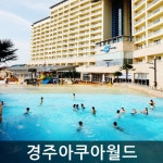 [경주대명아쿠아월드]소인 주말권(~18.03.04) - 사는 게 즐겁다! 롯데닷컴