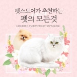 펫의 모든 것 스테디셀러부터 신상품까지 - 사는 게 즐겁다! 롯데닷컴